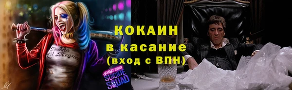 мдпв Богданович