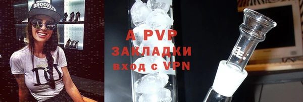 ПСИЛОЦИБИНОВЫЕ ГРИБЫ Богородицк