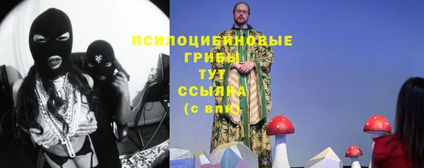 мдпв Богданович