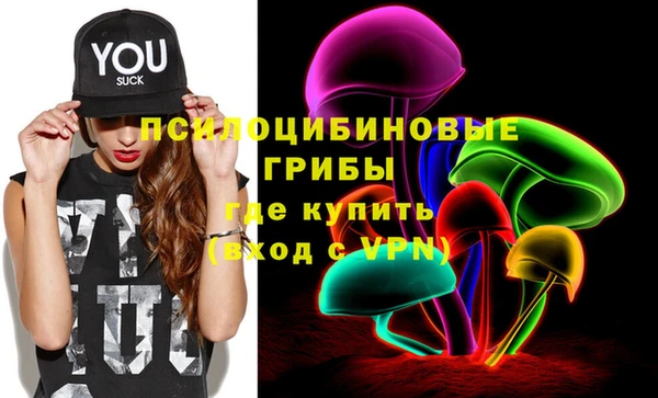 крисы Бронницы
