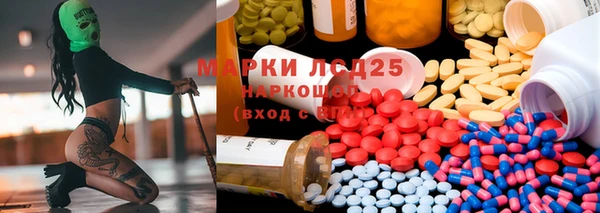 мдпв Богданович
