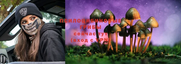 крисы Бронницы